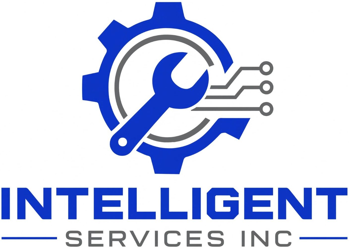 Intelligent Services Inc